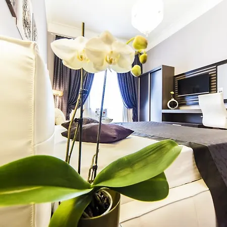 Matei Corvin Deluxe Apartment *