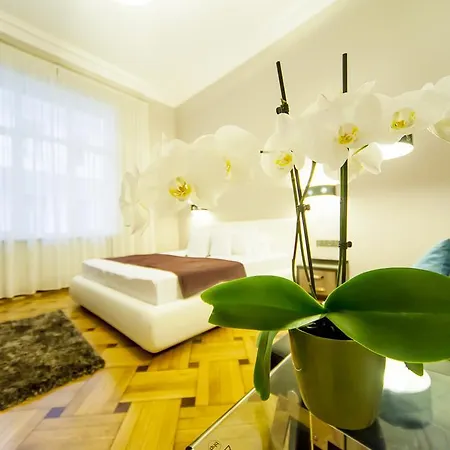 Matei Corvin Deluxe Apartment Cluj-Napoca
