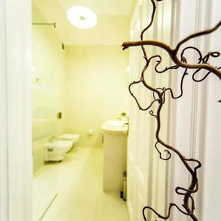 Matei Corvin Deluxe Appartement Cluj-Napoca